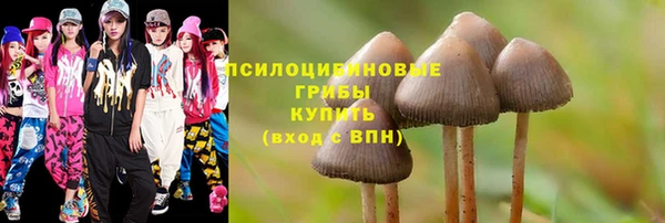 альфа пвп Куйбышев