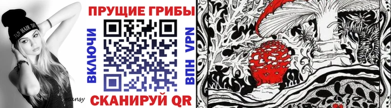 Галлюциногенные грибы GOLDEN TEACHER магазин Оса